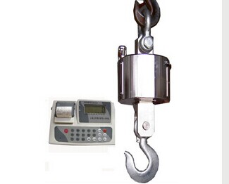 技術人員提醒:電子吊秤要避免碰撞